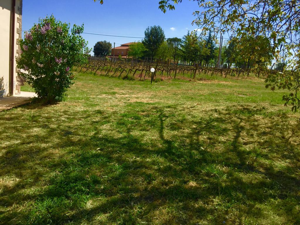Country House Maremma Nel Tufo Pitigliano Dış mekan fotoğraf