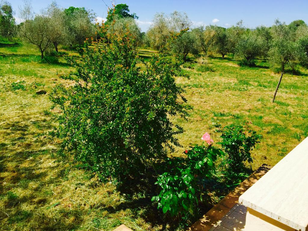 Country House Maremma Nel Tufo Pitigliano Dış mekan fotoğraf