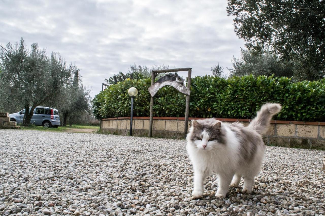 Maremma Nel Tufo Konuk evi Pitigliano Dış mekan fotoğraf